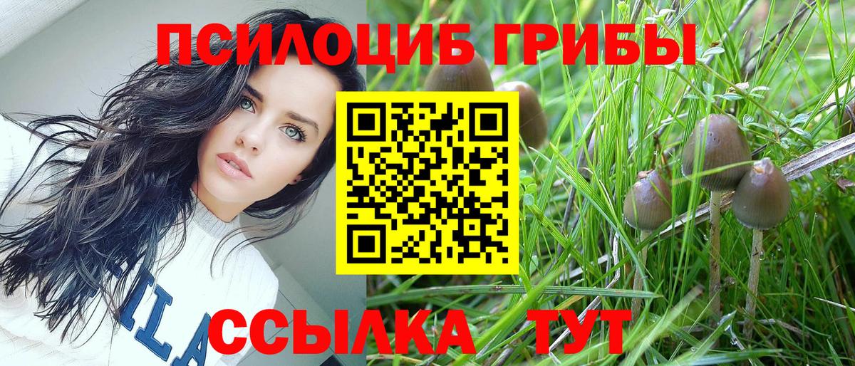 Псилоцибиновые грибы Psilocybine cubensis  Вход с VPN  Елизово 